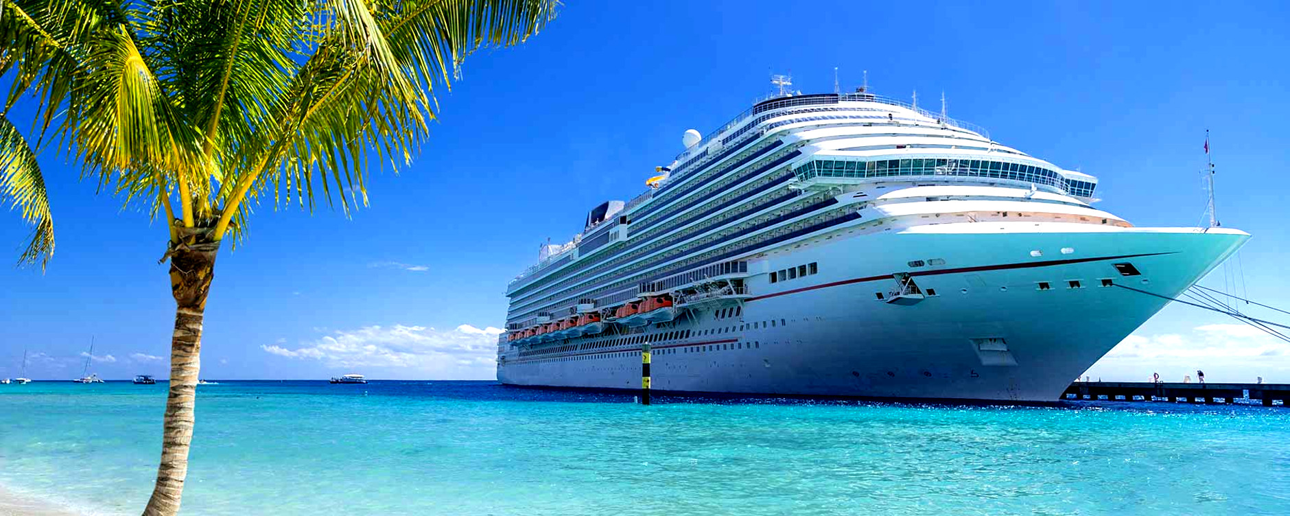 Cruise ship docked at tropical port on sunny day